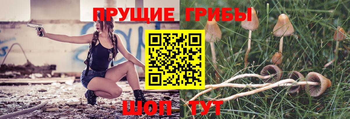 Псилоцибиновые грибы Cubensis  Вход с VPN  Люберцы 